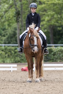 Album: Dressur-E ab 2010 - 